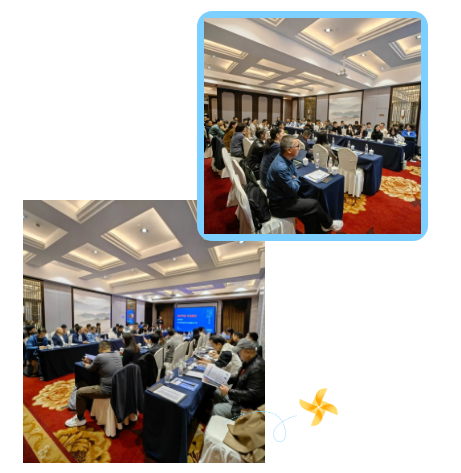 1731558021983113.png 1731558004090.png